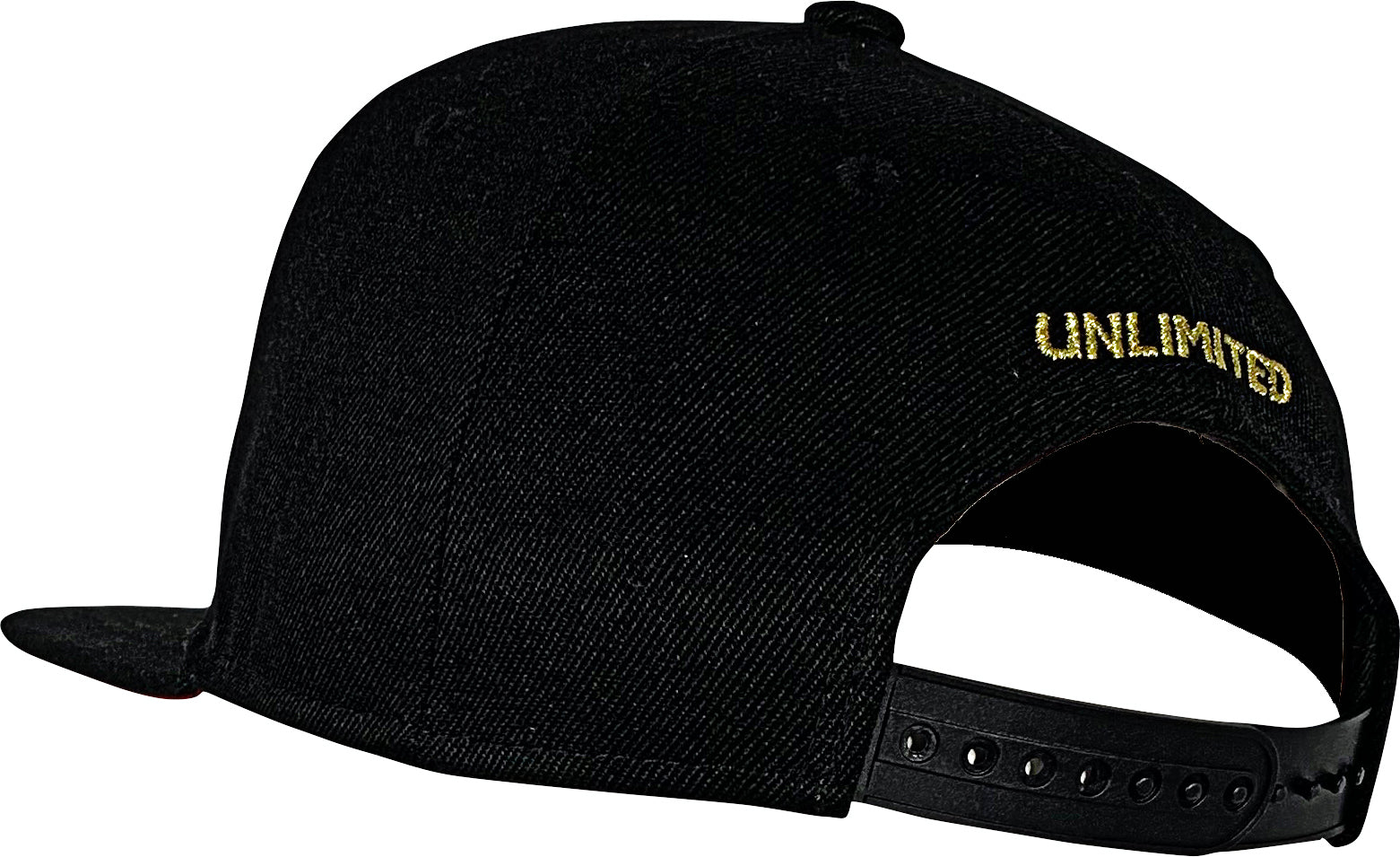 LFGF Snapback Sombrero